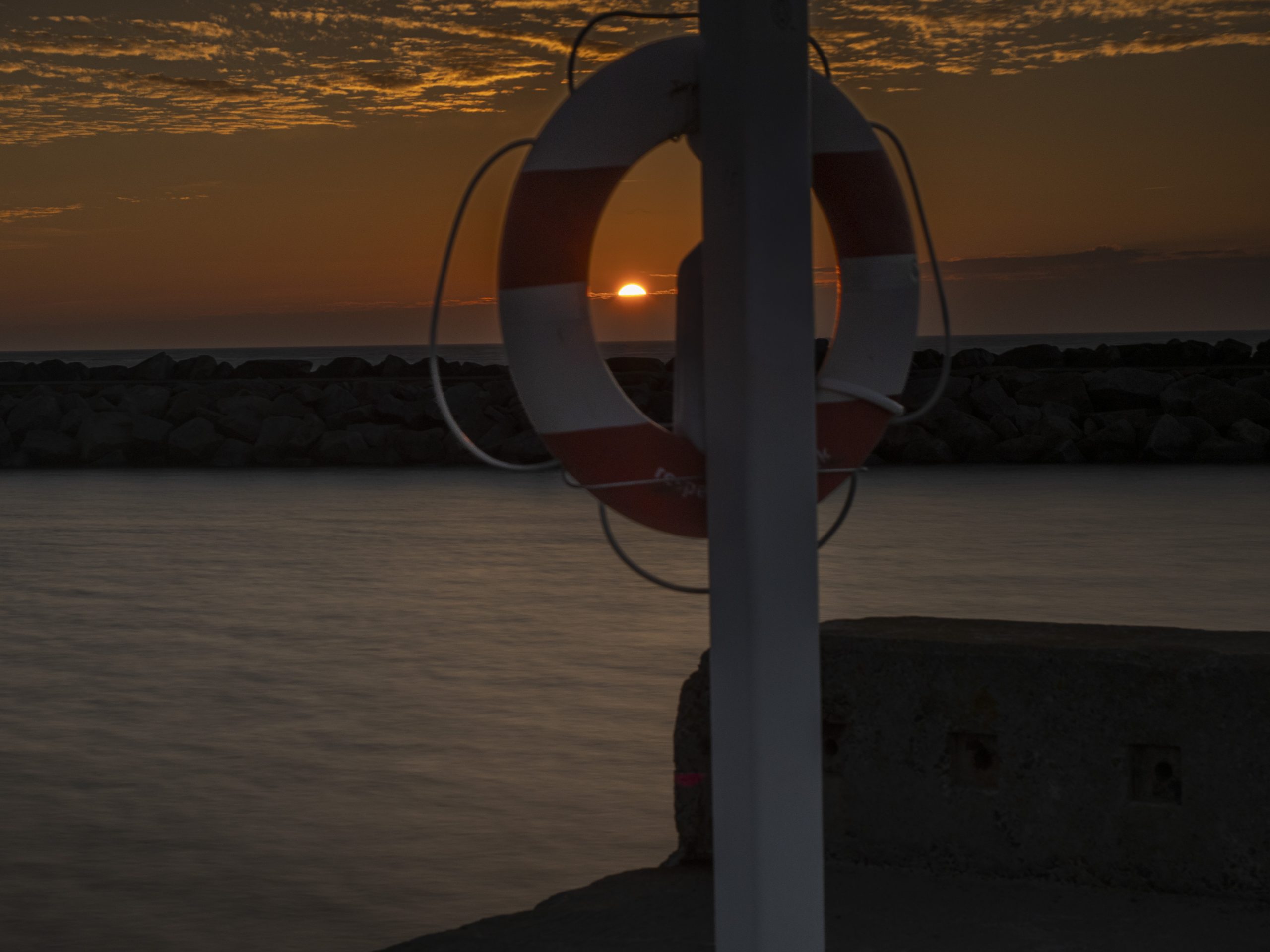 Bornholm VI – Schwan, Kormoran und Sunset