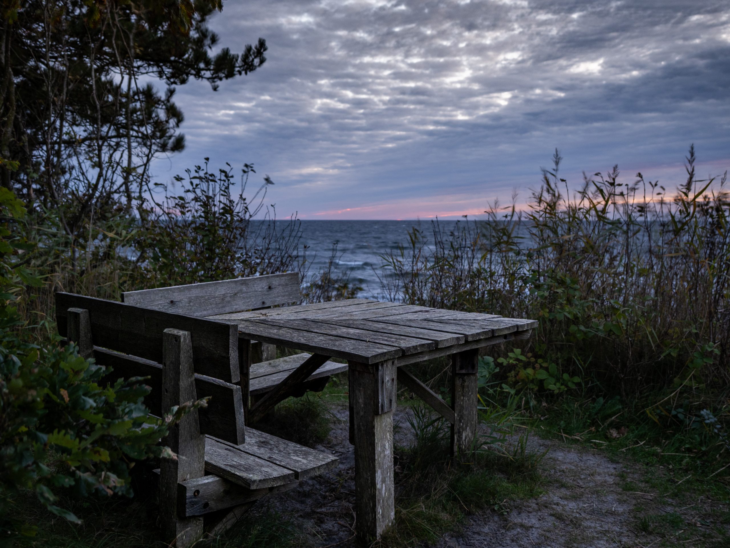 Bornholm II – Holz: Wachsen und Tragen